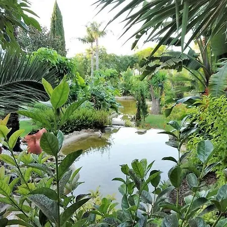 Cozy In Golden Mile * Μαρμπέλλα